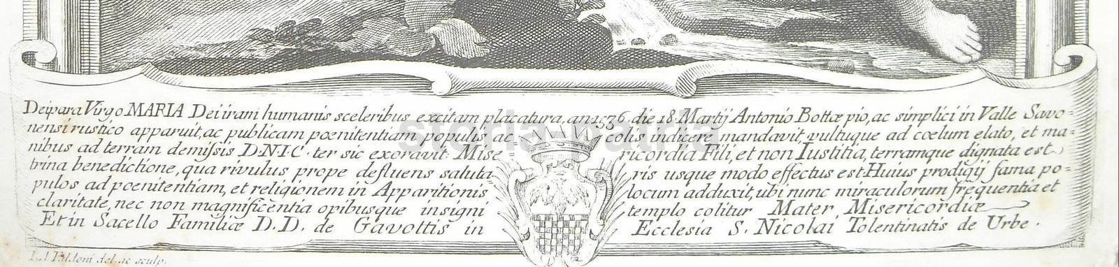 Arte, Antica Incisione, Faldoni, Liguria, Savona, Antonio Botta, Gavottis, Araldica immagine 5