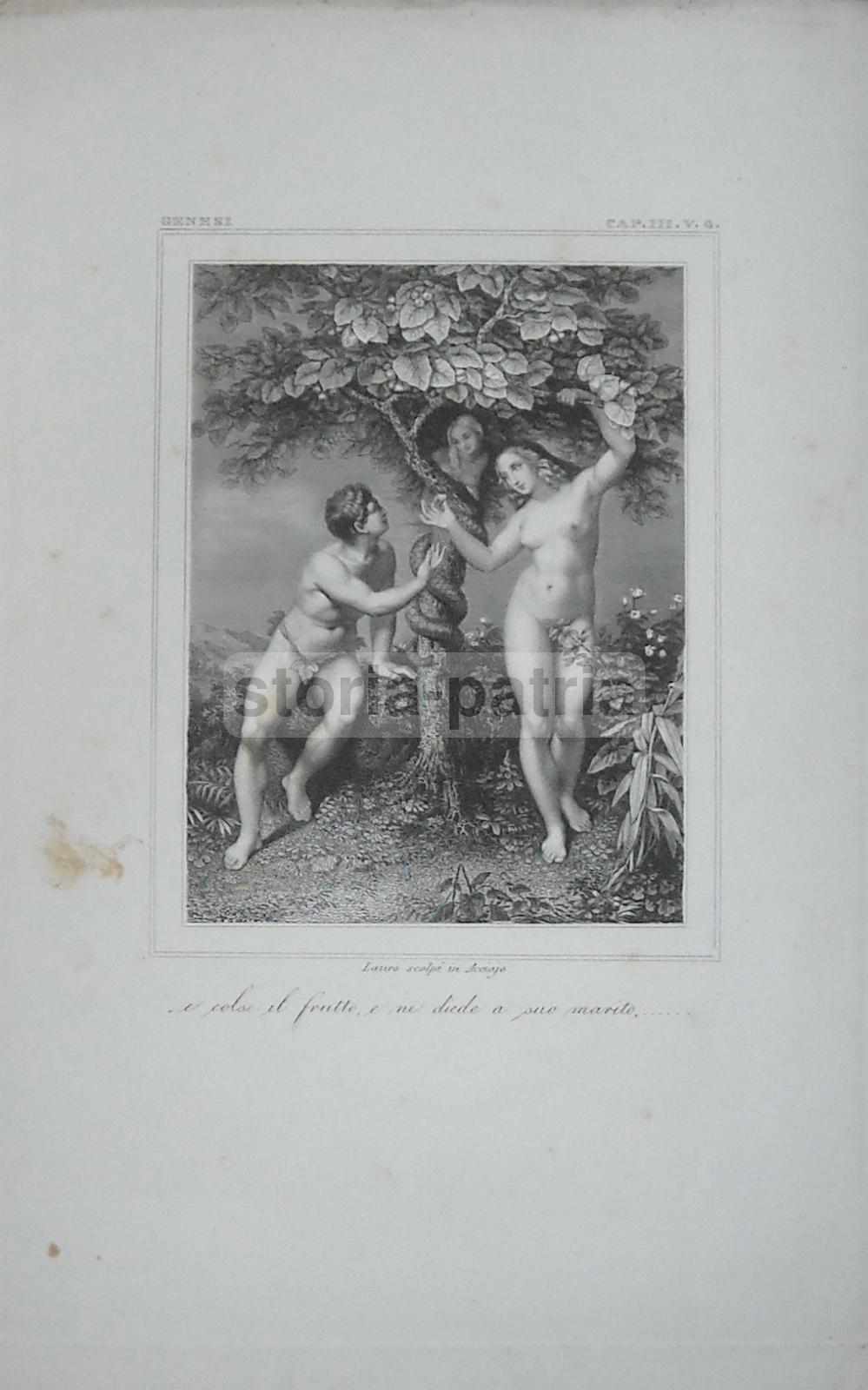 Paradiso Terrestre, Adamo Ed Eva, Peccato Originale, Mela, Serpente, Tentazione, Lauro immagine 1