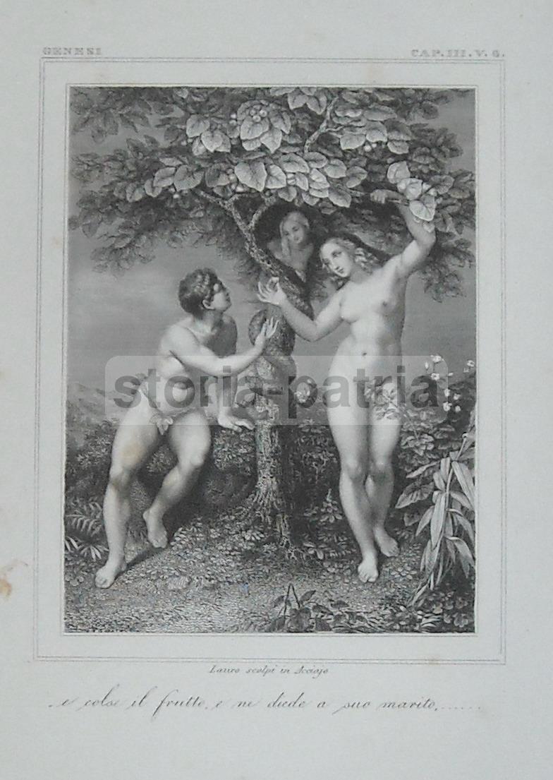 Paradiso Terrestre, Adamo Ed Eva, Peccato Originale, Mela, Serpente, Tentazione, Lauro immagine 2